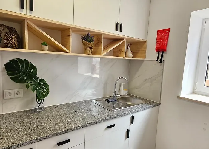 招待所 Curtido House Suits