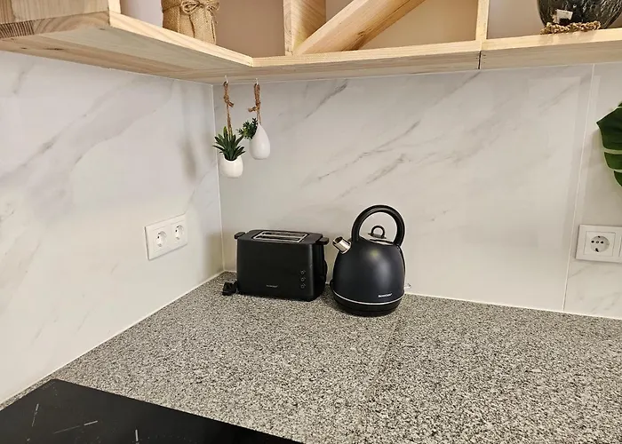 招待所 Curtido House Suits